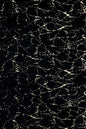 Black and Gold Marble Rug