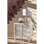 Clarkia Accent Cabinet with Floral Carved Door White